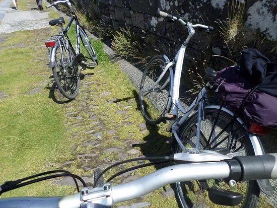 Paddy's Bike Shop - Bike Rental
