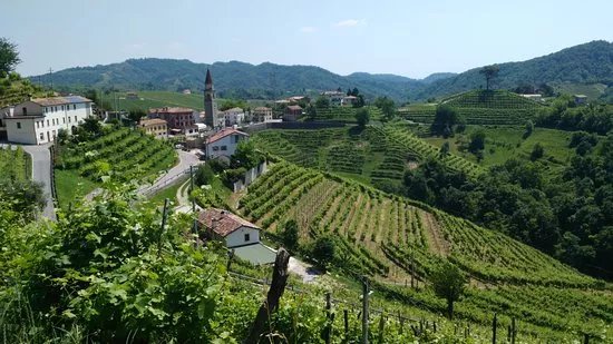 Societa Agricola Vigne Matte Srl