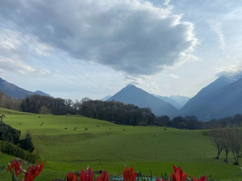 At the foot of the Hautacam massif, wooden chalet for rent