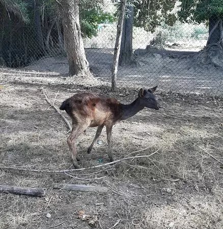 Oasi Naturalistica La Valle