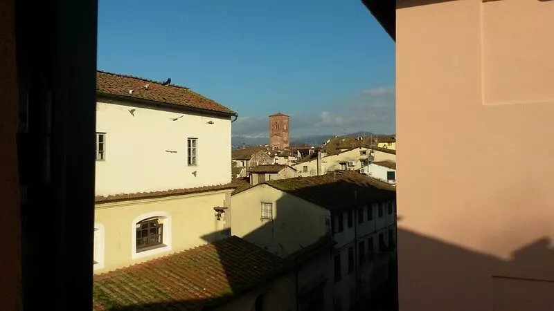 Charming and cozy  apartment in the historical centre, own label wine tasting