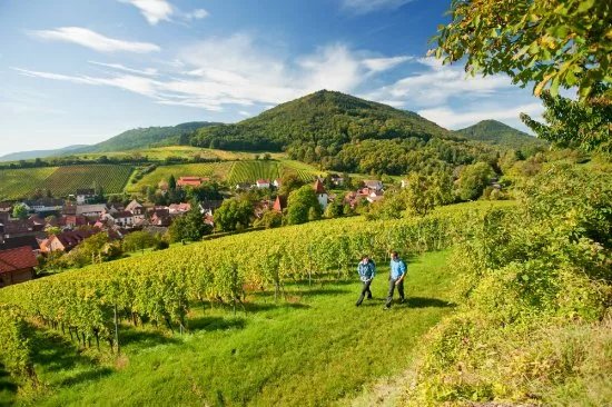 Eifel National Park