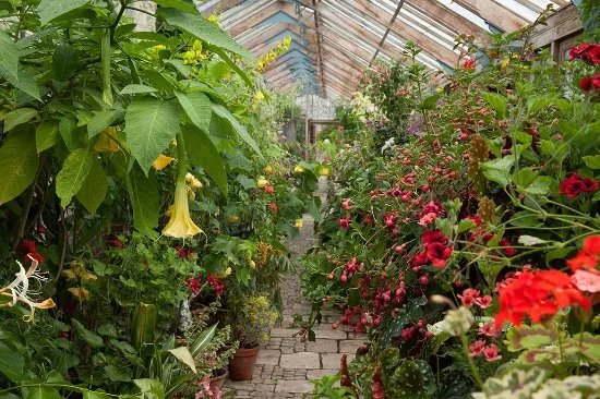 Parham House & Gardens