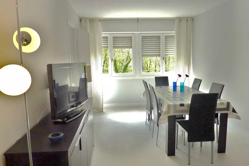 IDEAL TO VISIT THE CASTLES OF LOIRE BLOIS / AMBOISE / large apartment