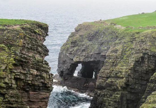 Noss National Nature Reserve