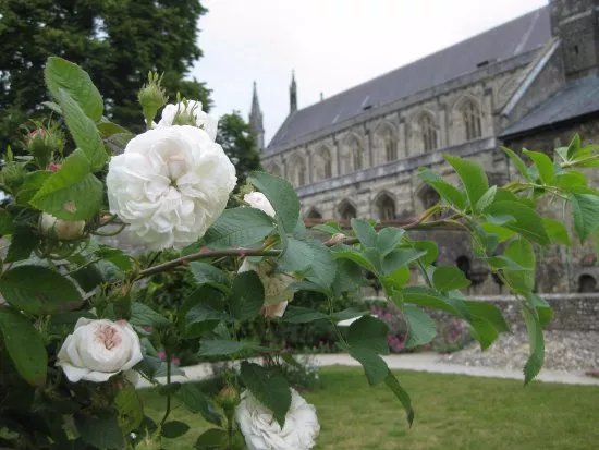 Dean Garnier Garden