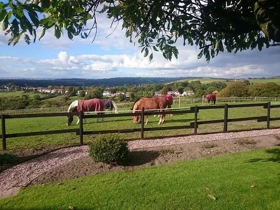 Tarden Farm Riding Stables
