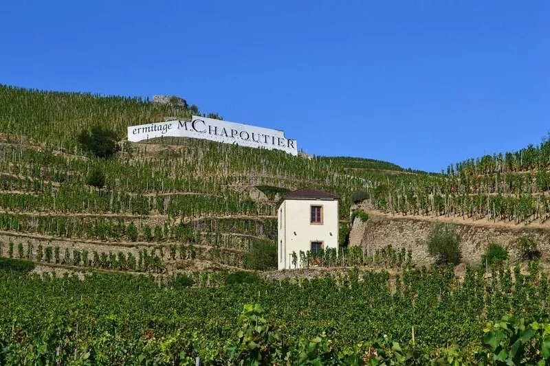 Gîte La Tour du Pavillon in the heart of the Ermitage vineyards