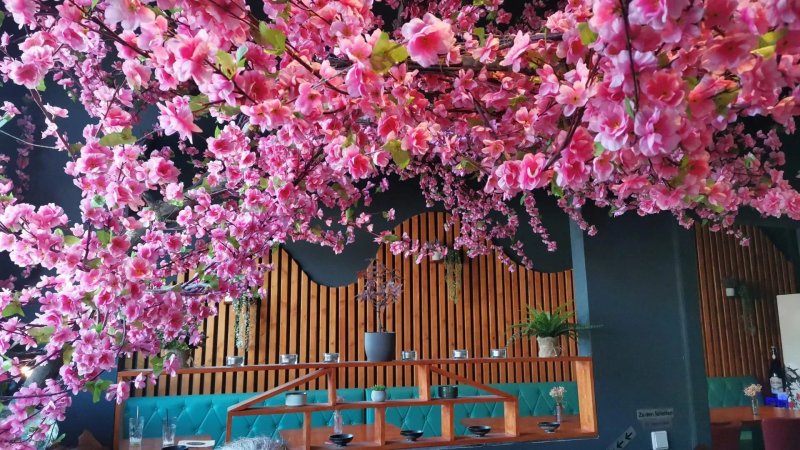 Fako Asian Cuisine