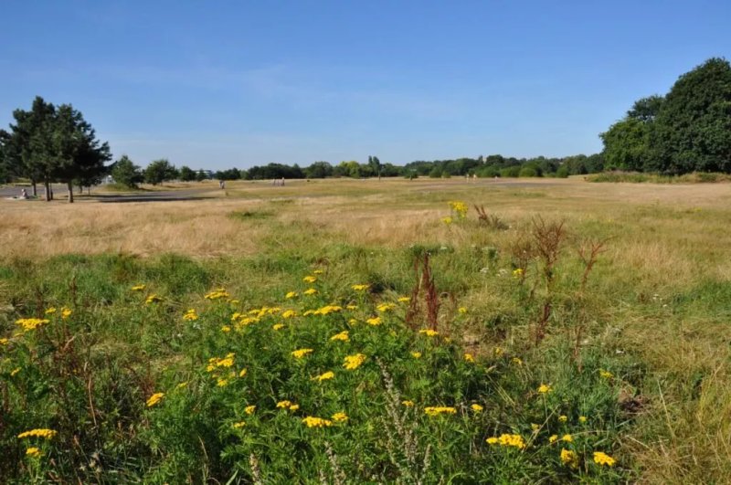 Brooklands Community Park & Skate Park