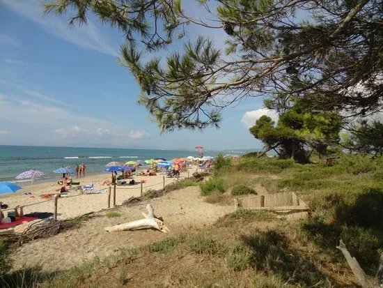 Riserva Naturale Tomboli di Follonica