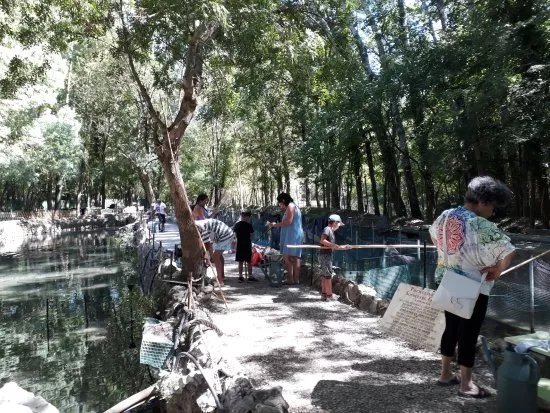 Pisciculture de Signes / Les sources du Gapeau