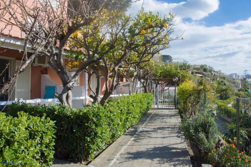 Villa Concetta - Appartamenti Calise