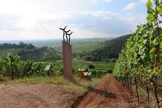Naturpur Weinkultur