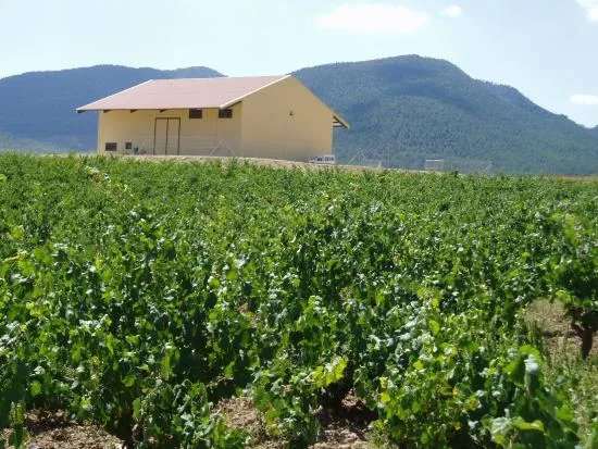 Bodega Monastrell