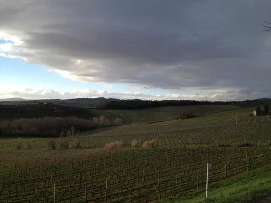 Vineria San Felice