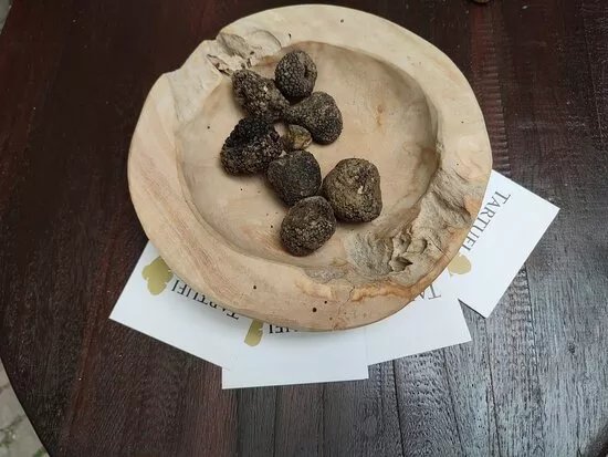 Tartufi Istra