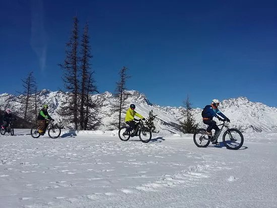 Localvelo