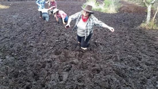 Causey Farm