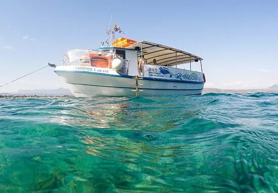 Proti Cruises