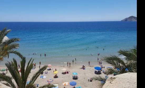 Playa Pequena, S.L.