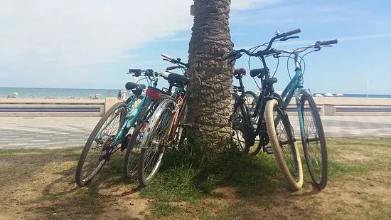 Alicante Rental Bikes
