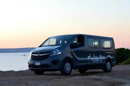 Easy Move - Transfer and Tours