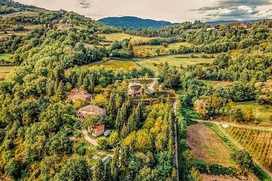 Ornina Winery