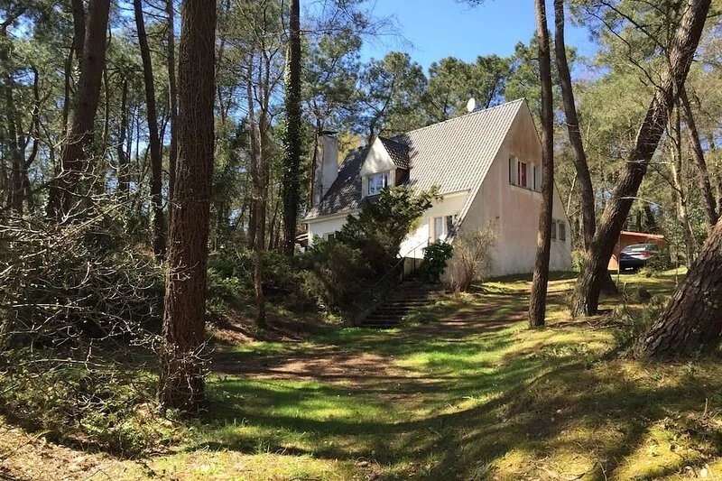 Condette-Hardelot, spacious villa on a 3000m2 pine forest, adjoining forest
