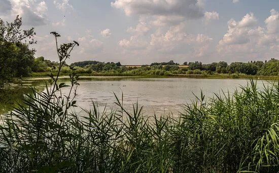 Linford Lakes Nature Reserve