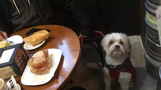 Cerveceria El Rey