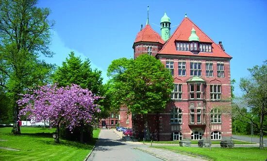 Naturwissenschaftliches Museum Flensburg