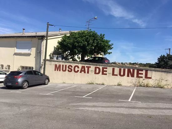 Cave Cooperative Muscat de Lunel