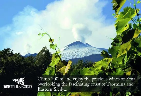 Wine Tour in Sicily - Day Tours