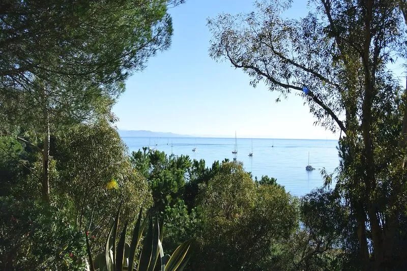 House with sea view sorrounded by a beautiful garden