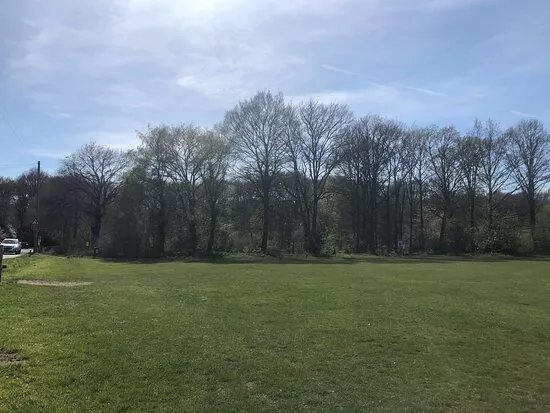 Esher Common