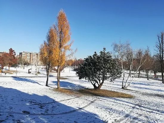 Parco Porporati