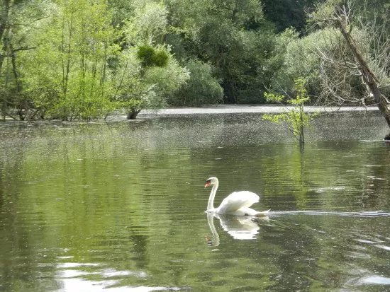 Parc Naturel du Patis