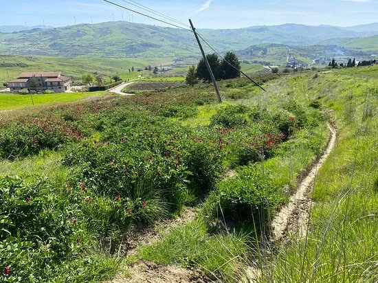 Magna Via Francigena