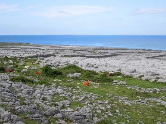 Burren Coastline Drive