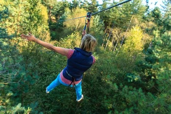 Go Ape Sherwood
