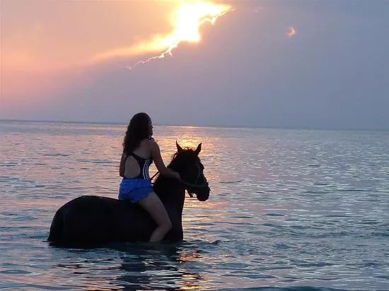 Equestrian Club of Cyclades