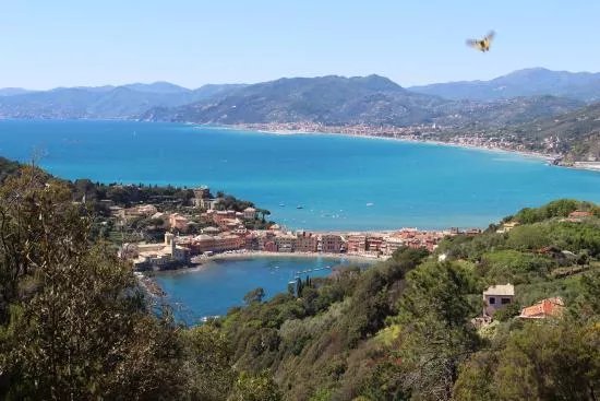 Hike the Punta Manara