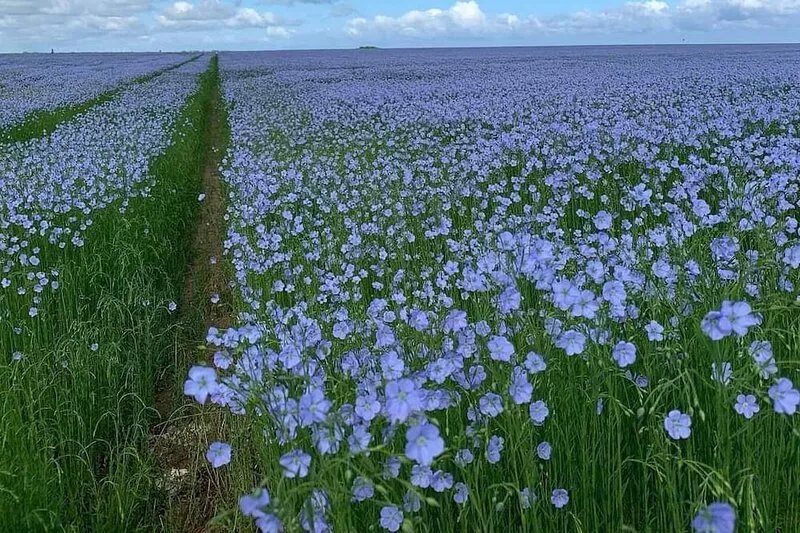 15 min from the sea / in Normandy / rooms with bathroom and WC / beds made