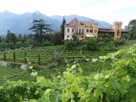 Castello Rametz - Wine Museum
