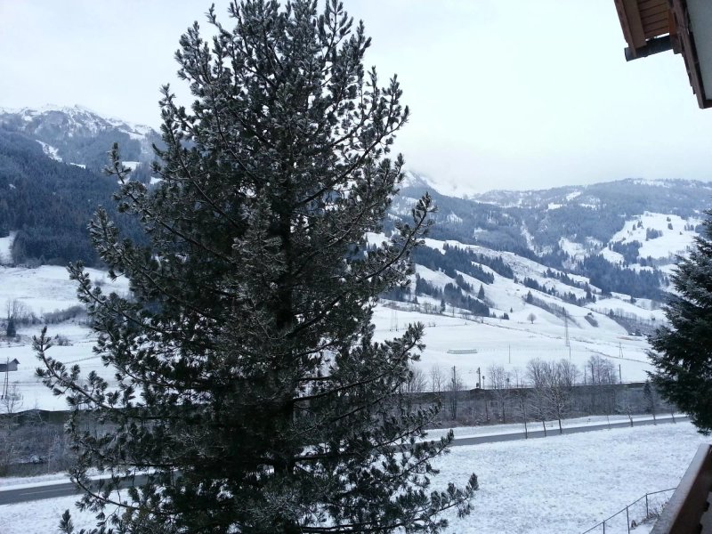 Pension Silberkrug