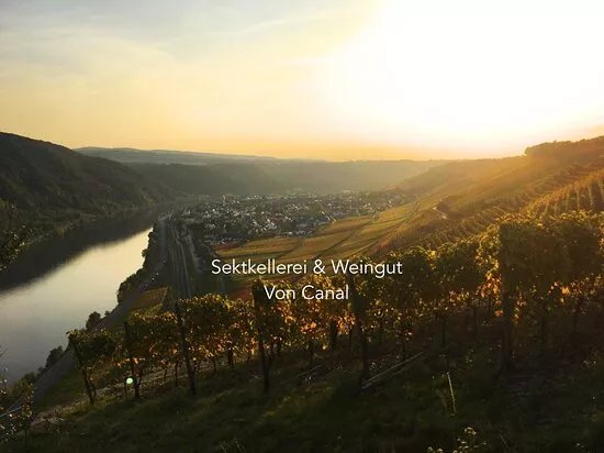 Sektkellerei und Weingut von Canal