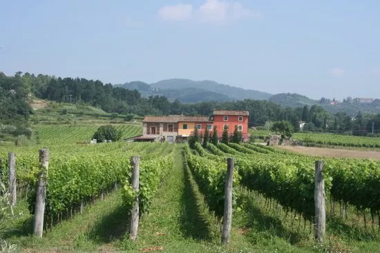Fattoria al Dotto