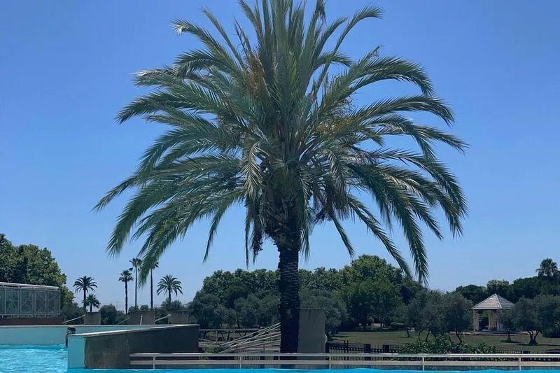 Juan Les Pins: Well-decorated 1 bed apartment close to beach with swimming pool
