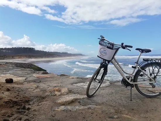 Becycle, Bike Coffee, Rentals & Tours